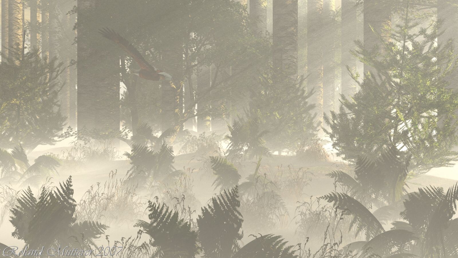 Abendstimmung im Wald
