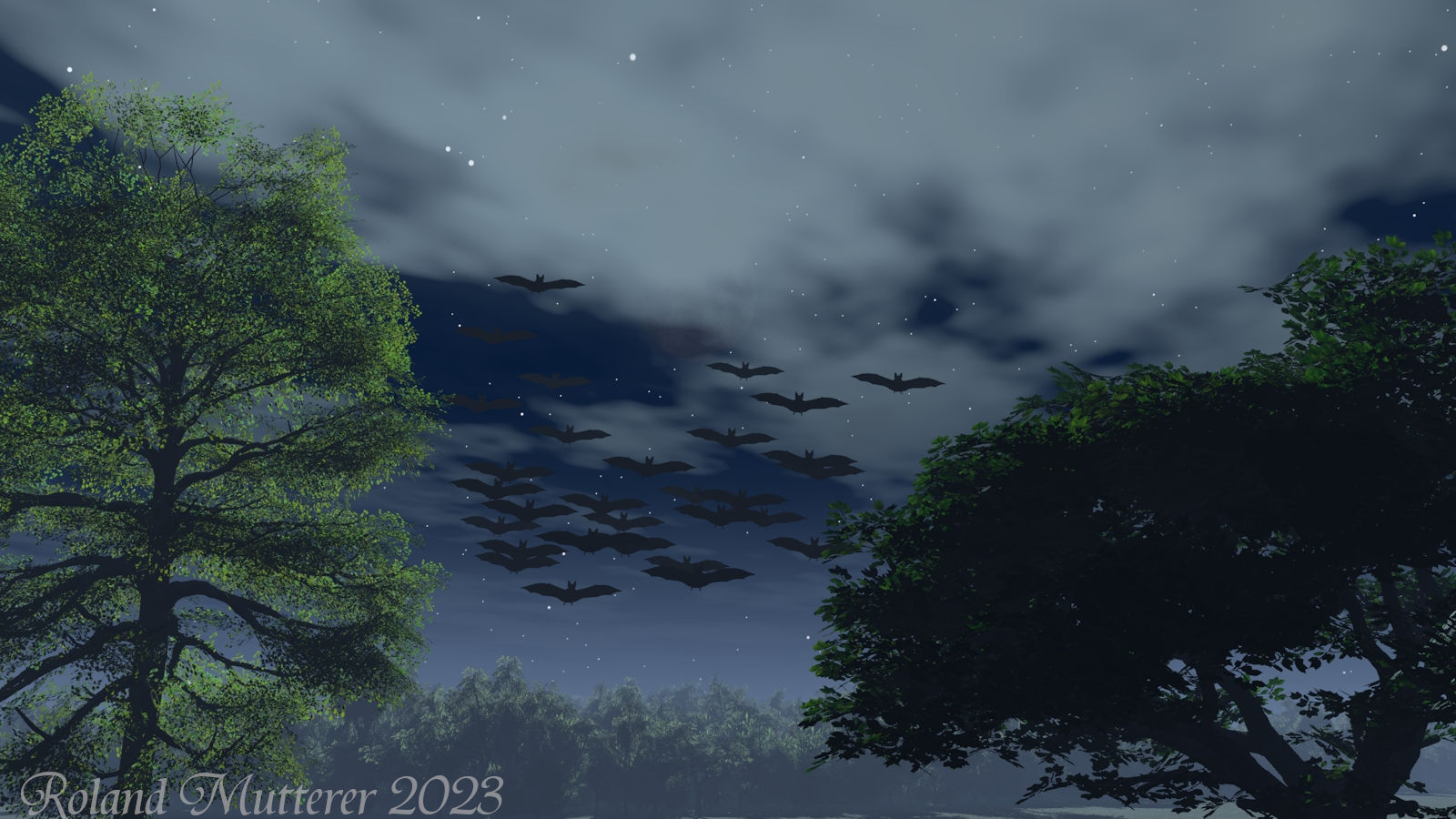 Flederm&auml;use bei Nacht