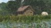 cabin at the lake