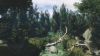 Ein lauschiger Bach im Wald